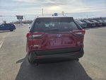 2020 Toyota RAV4 XLE AWD (Natl)